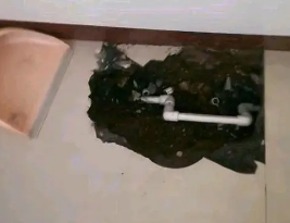 定安卫生间测漏水多少钱